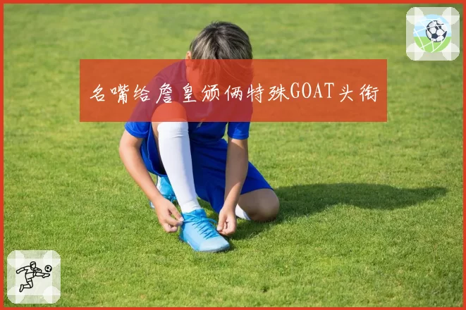 名嘴给詹皇颁俩特殊GOAT头衔