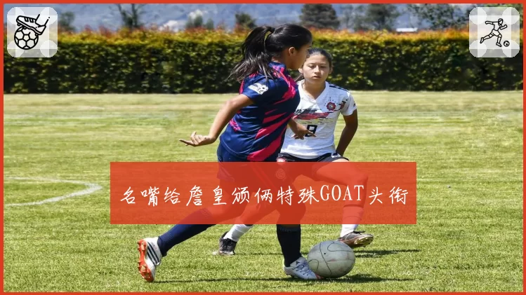名嘴给詹皇颁俩特殊GOAT头衔